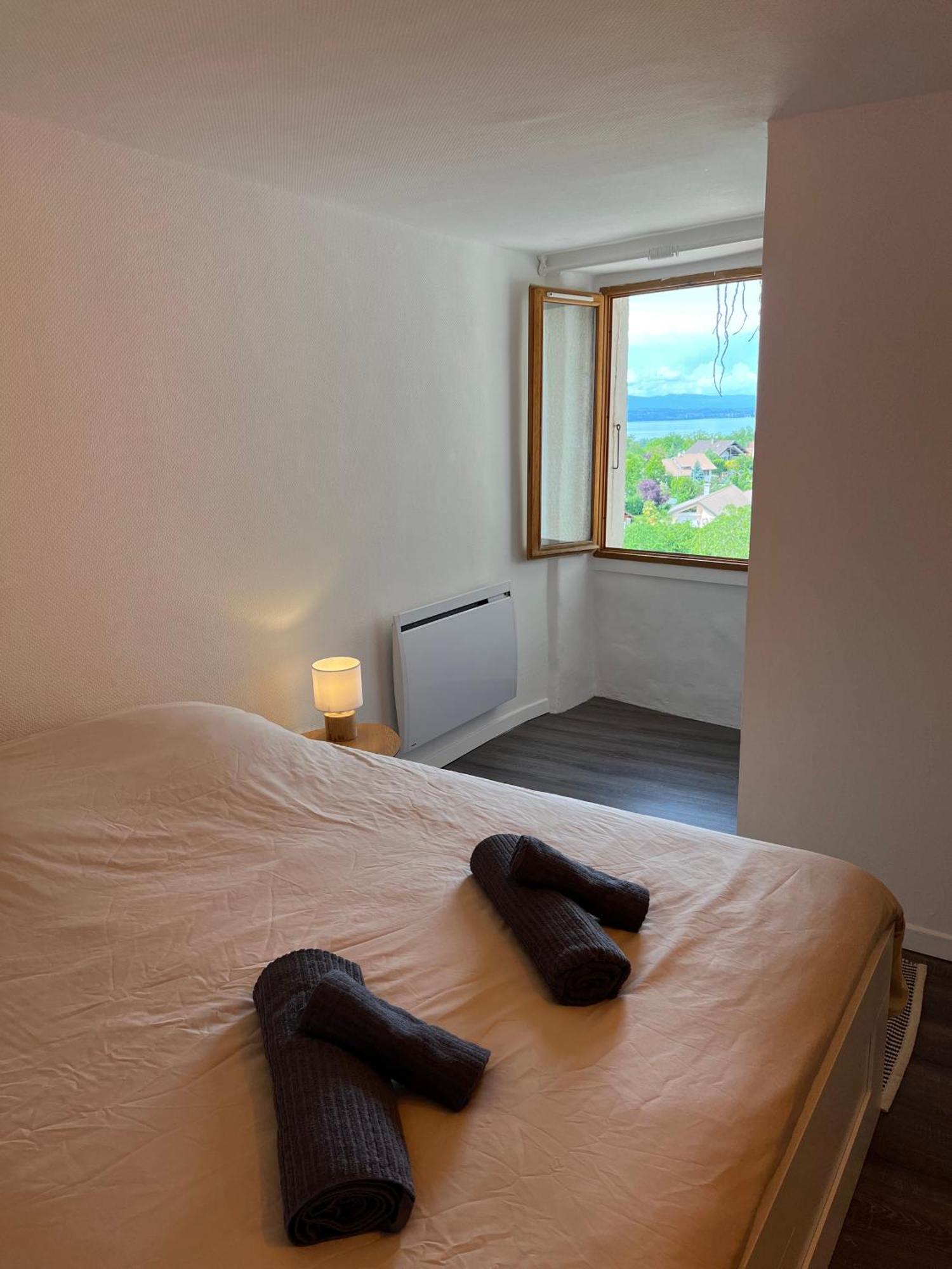 Charmante Maison De Village A 10Min De Thonon-Les-Bains Allinges Ngoại thất bức ảnh