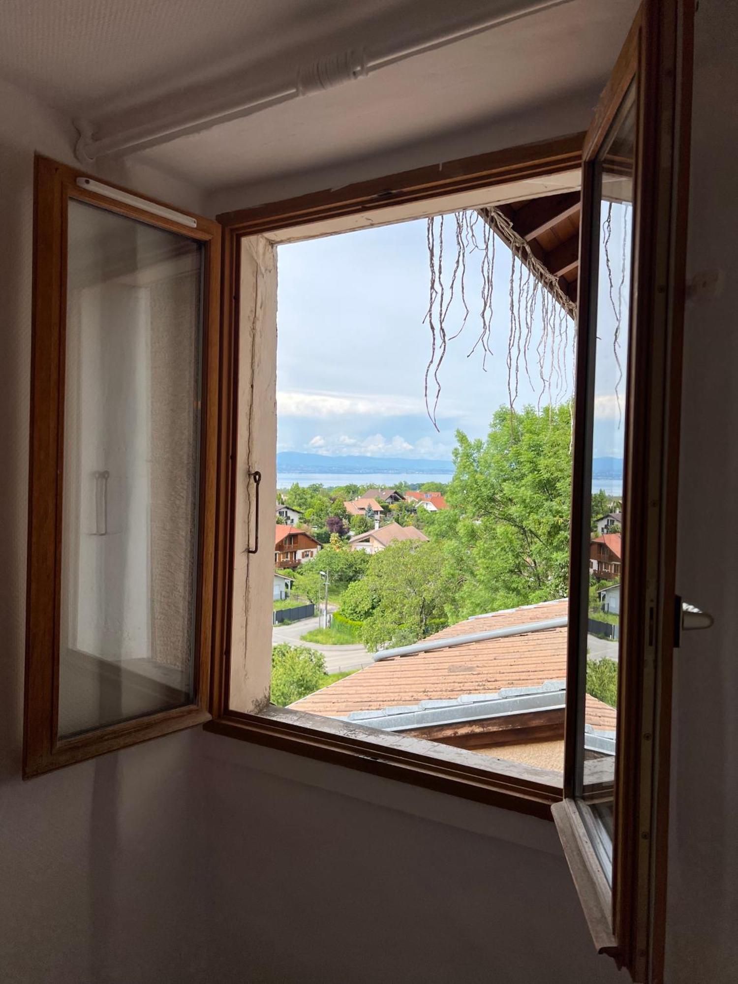 Charmante Maison De Village A 10Min De Thonon-Les-Bains Allinges Ngoại thất bức ảnh